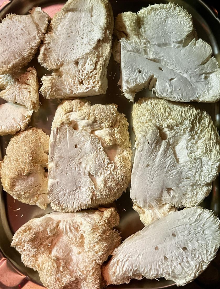 Sliced lion's mane ready for the freeze dryer